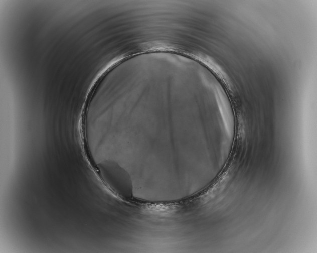 X0000095950806200802011100