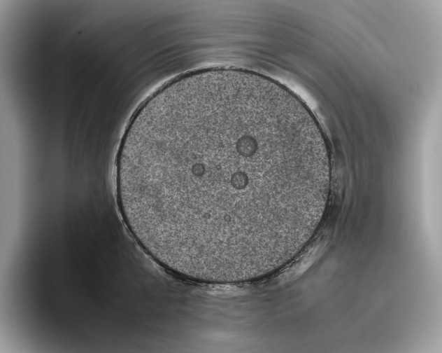 X0000095950807200802011100