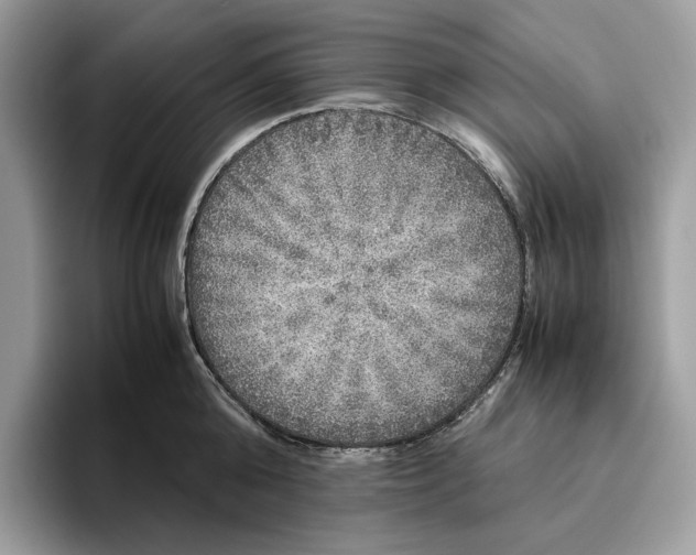 X0000095950808200802011100