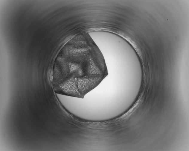 X0000095950809200802011100