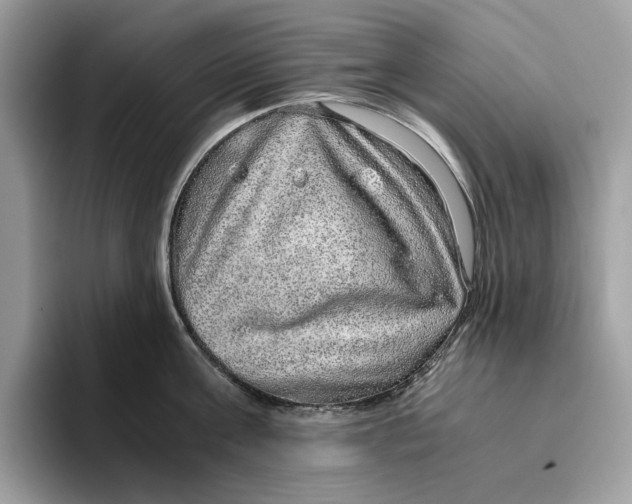 X0000095950811200802011100