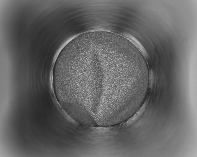 X0000095950812200802011100