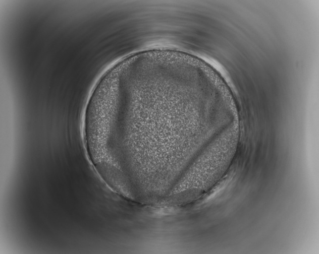 X0000095950815200802011100