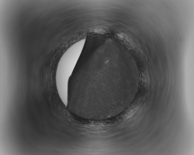 X0000095950818200802011100