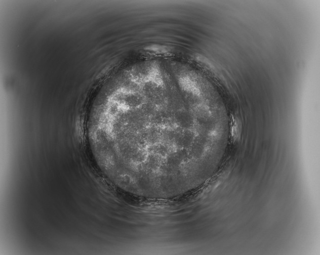 X0000095950819200802011100