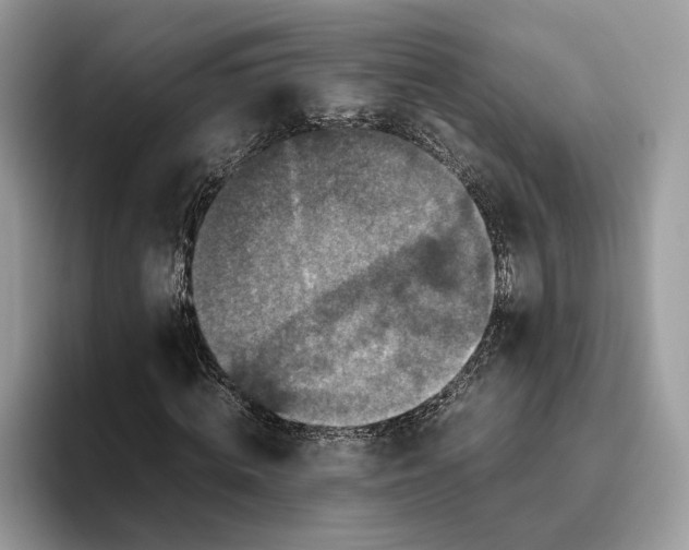 X0000095950820200802011100