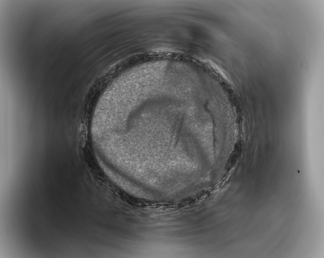 X0000095950821200802011100