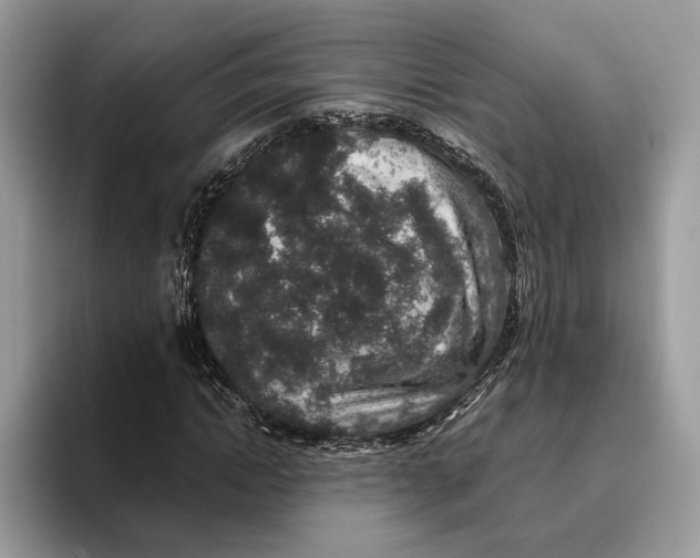 X0000095950822200802011100