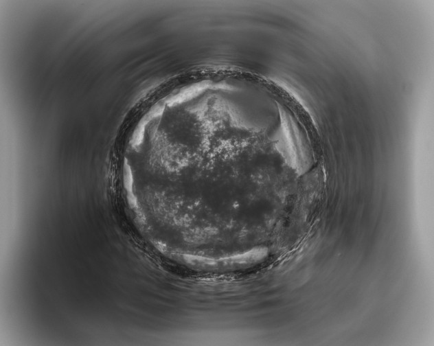 X0000095950823200802011100