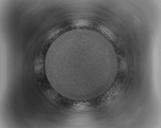 X0000095950824200802011100