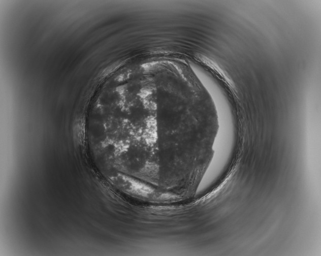 X0000095950825200802011100