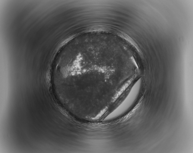 X0000095950826200802011100