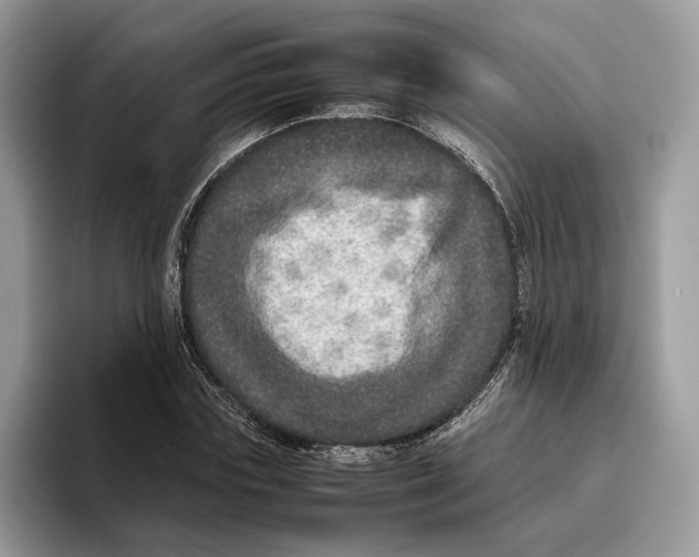 X0000095950827200802011100