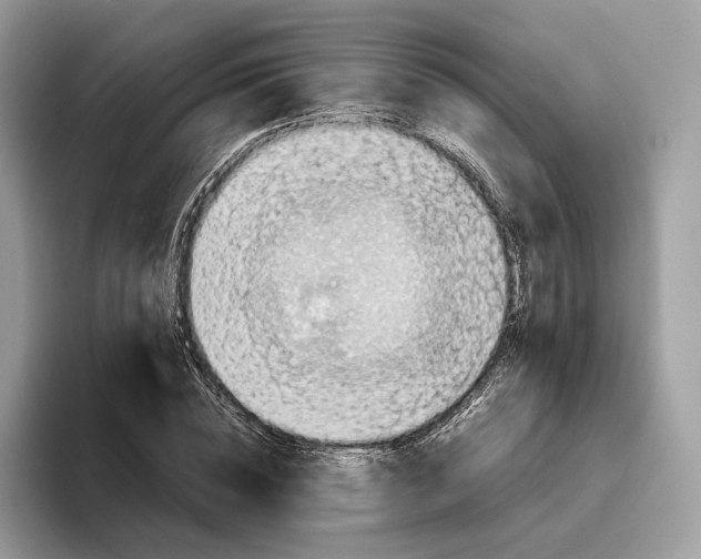 X0000095950828200802011100