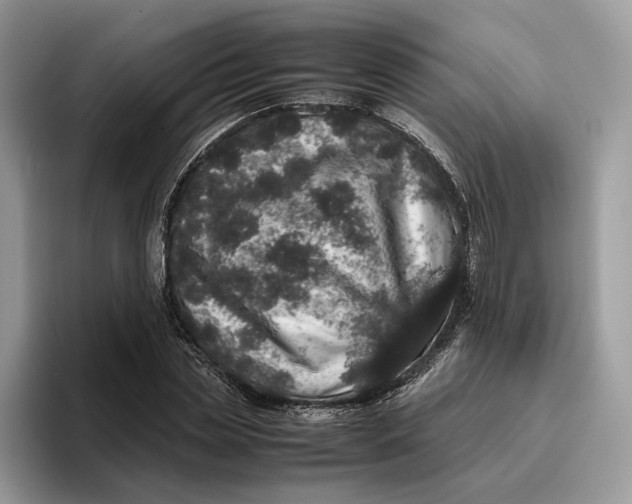 X0000095950829200802011100