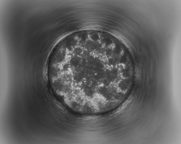 X0000095950830200802011100