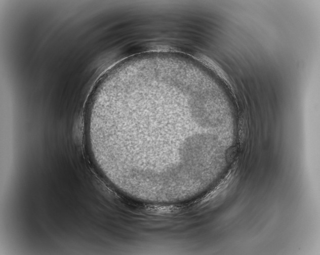 X0000095950831200802011100