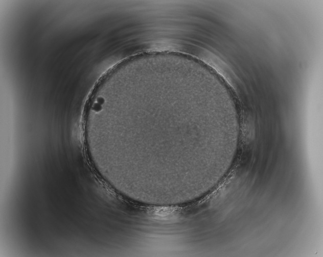 X0000095950832200802011100