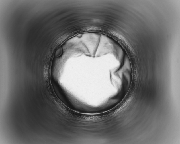 X0000095950833200802011100