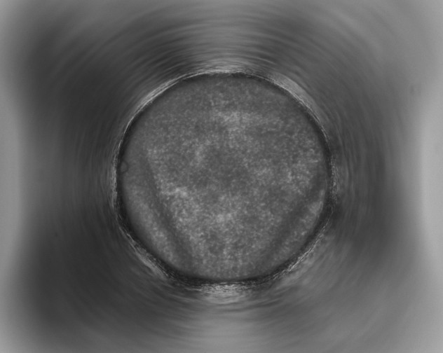 X0000095950834200802011100