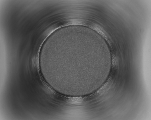 X0000095950836200802011100