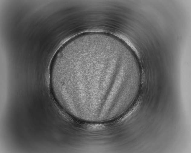 X0000095950837200802011100