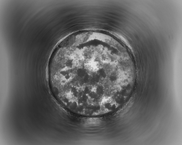 X0000095950839200802011100