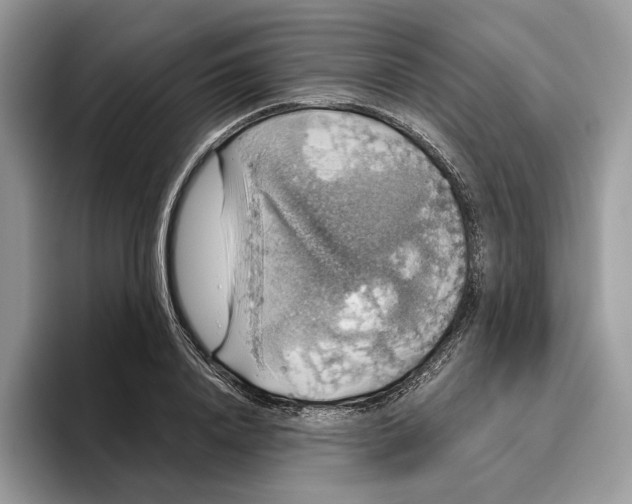 X0000095950840200802011100