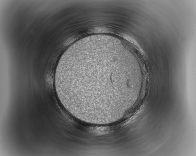 X0000095950841200802011100