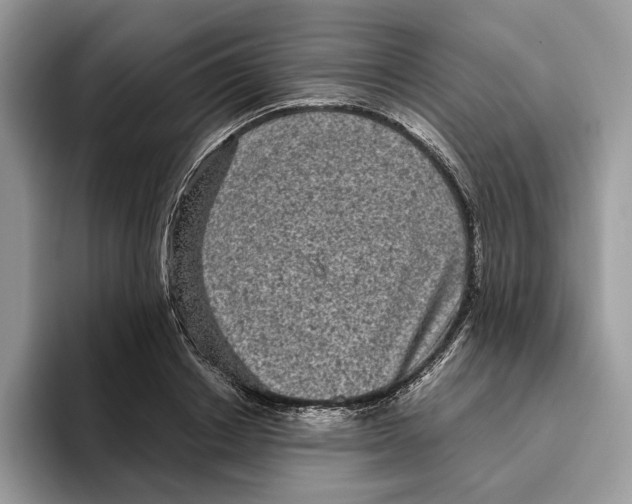 X0000095950842200802011100