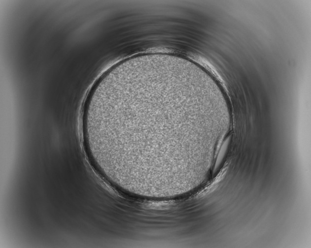 X0000095950843200802011100