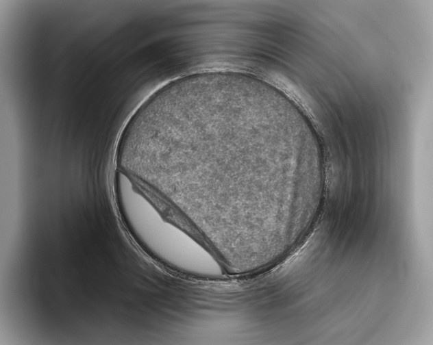 X0000095950844200802011100