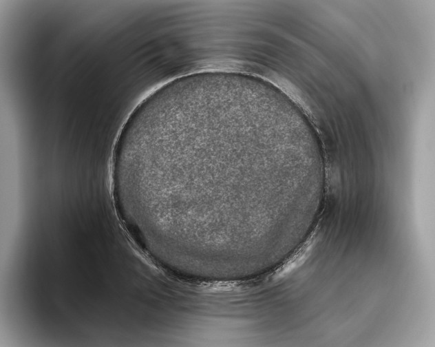 X0000095950846200802011100