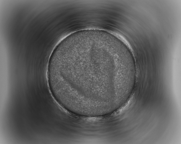 X0000095950847200802011100