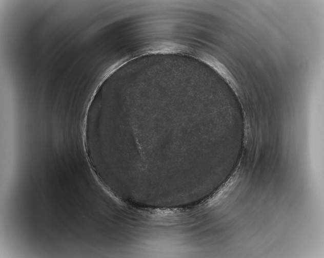 X0000095950850200802011100