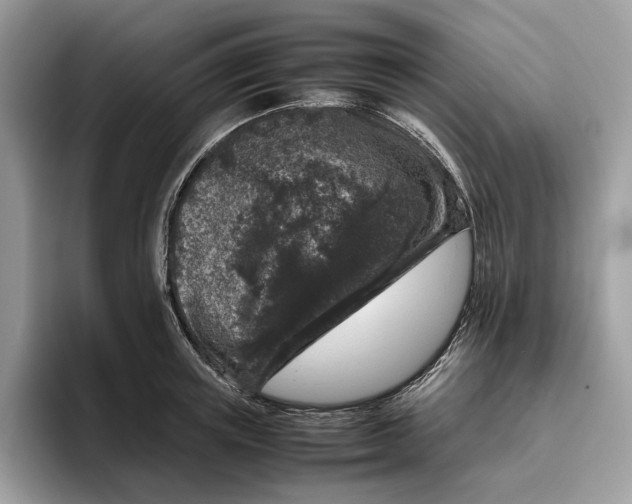 X0000095950851200802011100