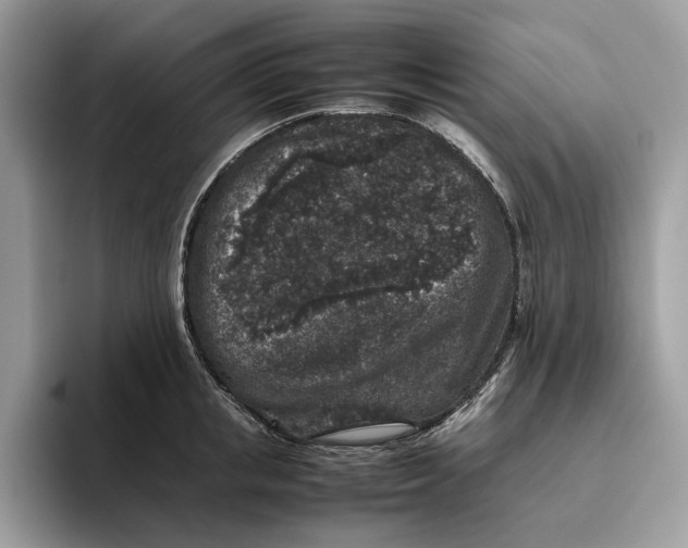 X0000095950853200802011100