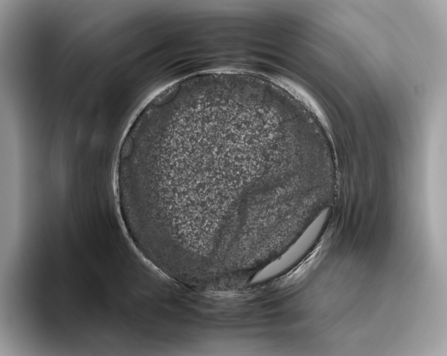 X0000095950855200802011100