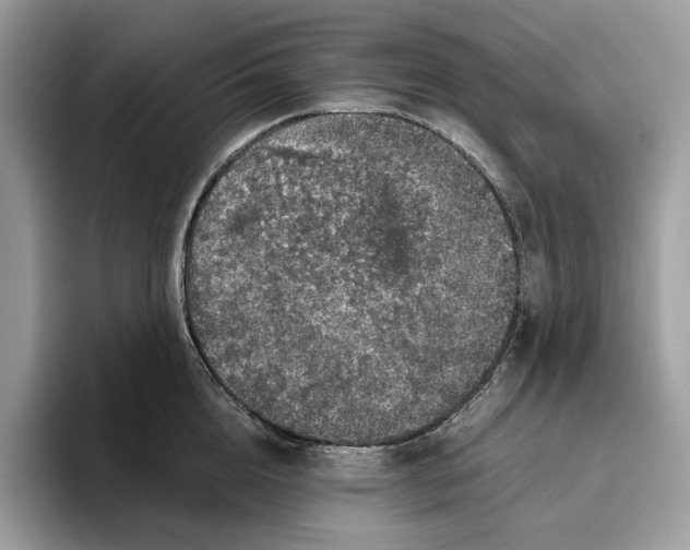 X0000095950856200802011100