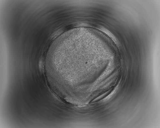 X0000095950857200802011100