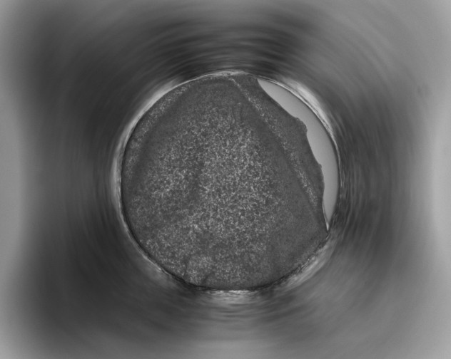 X0000095950859200802011100