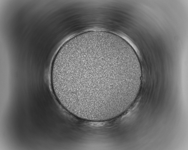 X0000095950861200802011100