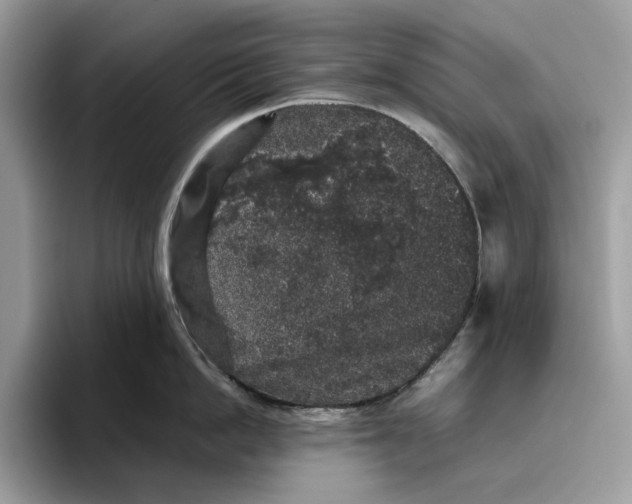 X0000095950862200802011100