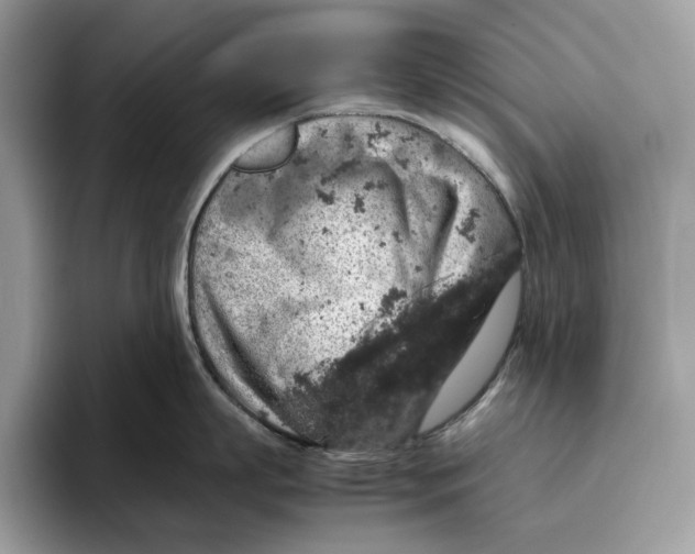 X0000095950863200802011100