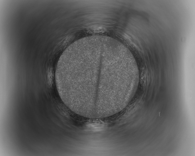 X0000095950866200802011100