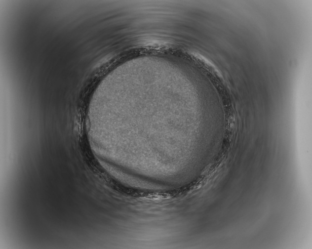 X0000095950869200802011100