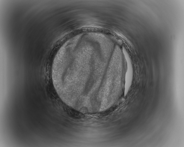 X0000095950870200802011100