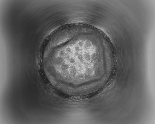 X0000095950871200802011100