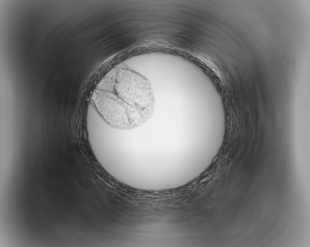 X0000095950872200802011100