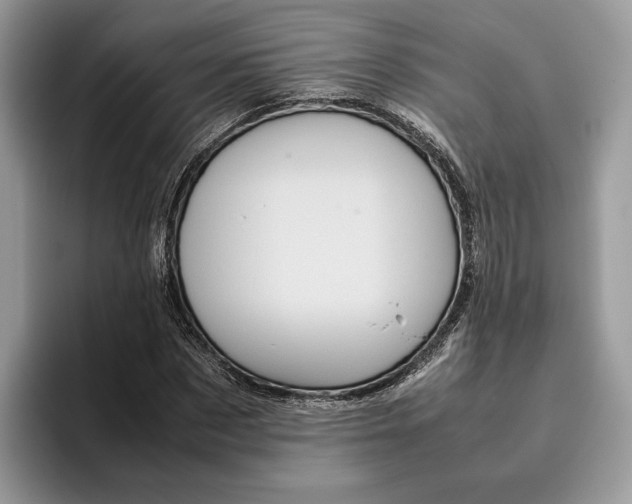 X0000095950873200802011100